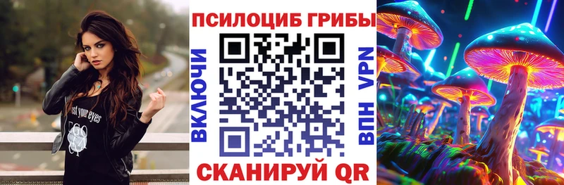 наркота Новоржев Псилоцибиновые грибы прущие грибы
