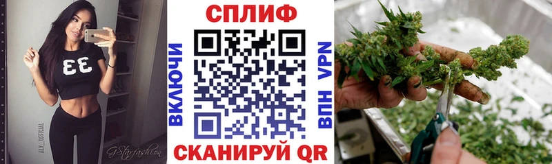 цены   Новоржев  Каннабис планчик 